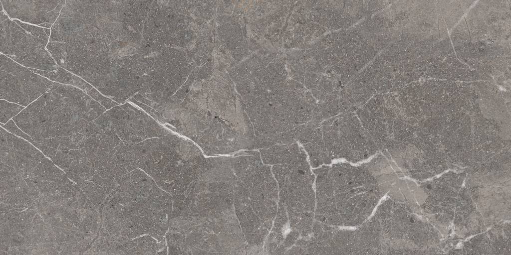 Керамогранит Pamir 44,8x89,8 A17781 CERSANIT купить в Астрахани | Клондайк Астрахань Официальный сайт