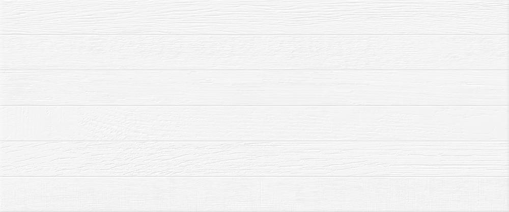 BIANCA WHITE WALL 01 25x60